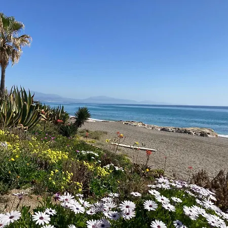 Apartment Luxurious With Seaview In Sunny